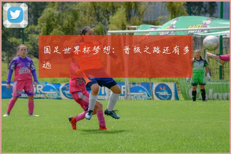 国足世界杯梦想:晋级之路还有多远