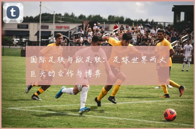 国际足联与欧足联:足球世界两大巨头的合作与博弈