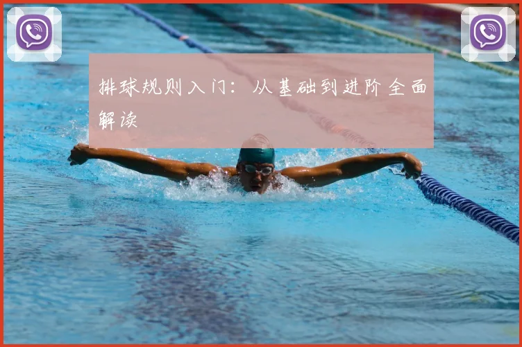 排球规则入门:从基础到进阶全面解读