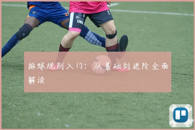 排球规则入门:从基础到进阶全面解读